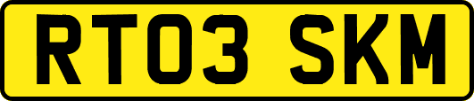 RT03SKM
