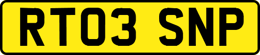 RT03SNP