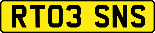 RT03SNS
