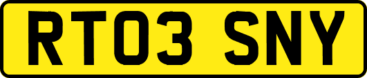 RT03SNY