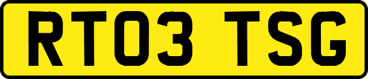 RT03TSG