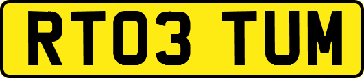 RT03TUM