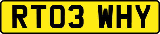 RT03WHY