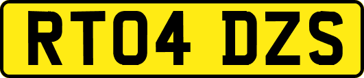 RT04DZS