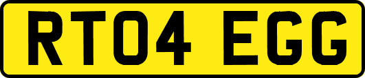 RT04EGG