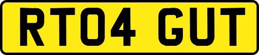 RT04GUT