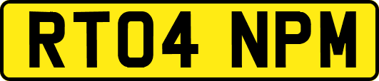 RT04NPM
