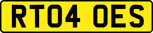 RT04OES