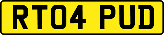 RT04PUD