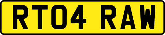 RT04RAW
