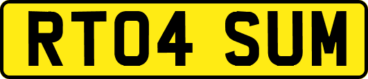 RT04SUM