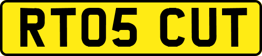 RT05CUT