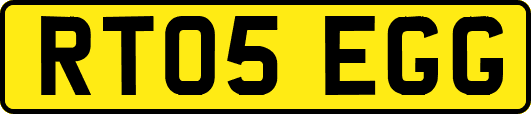 RT05EGG
