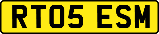 RT05ESM