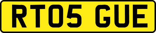 RT05GUE