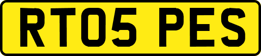 RT05PES