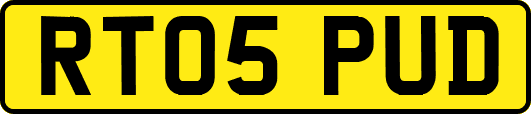 RT05PUD