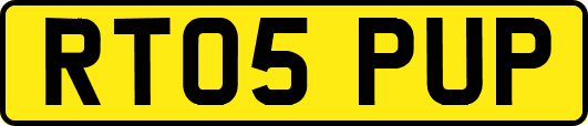 RT05PUP