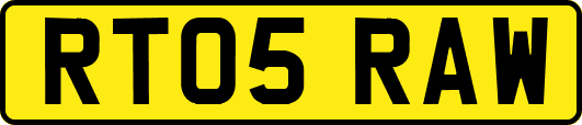 RT05RAW
