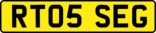 RT05SEG