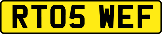 RT05WEF