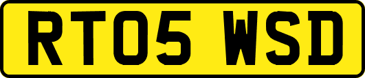 RT05WSD