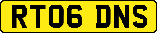 RT06DNS