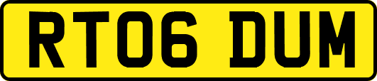 RT06DUM