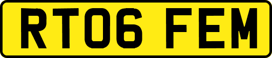 RT06FEM