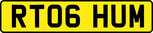 RT06HUM