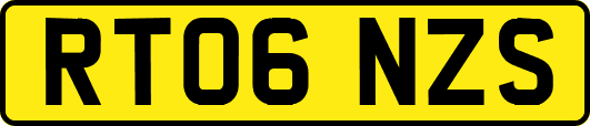 RT06NZS