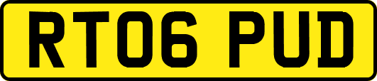 RT06PUD