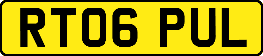 RT06PUL