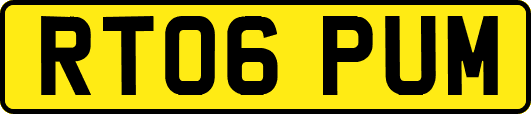 RT06PUM