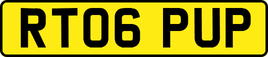 RT06PUP