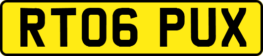 RT06PUX