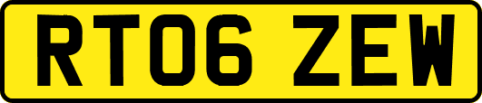 RT06ZEW