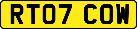 RT07COW