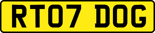 RT07DOG