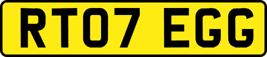 RT07EGG