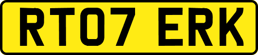 RT07ERK