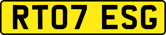 RT07ESG