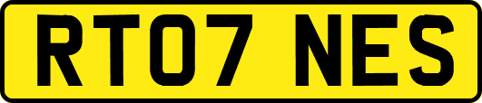 RT07NES