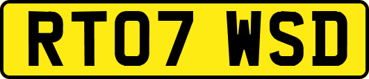RT07WSD