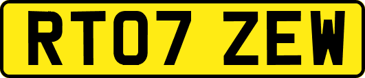 RT07ZEW