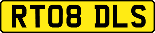 RT08DLS
