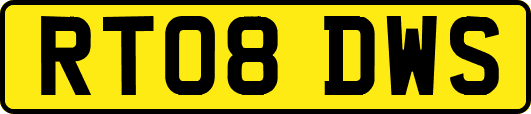 RT08DWS