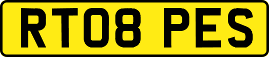 RT08PES