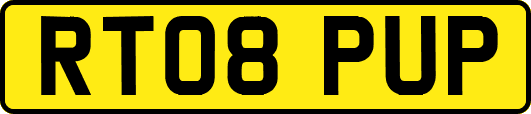 RT08PUP