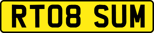 RT08SUM